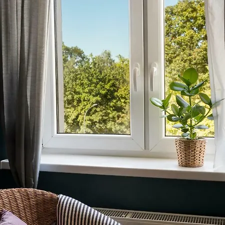 View / Kochanowskiego Cracovia