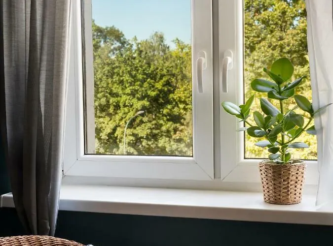 View / Kochanowskiego Krakau